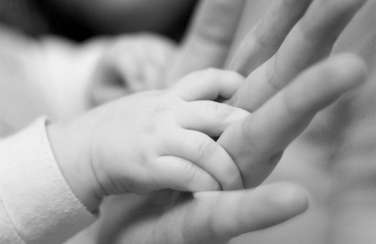 hands